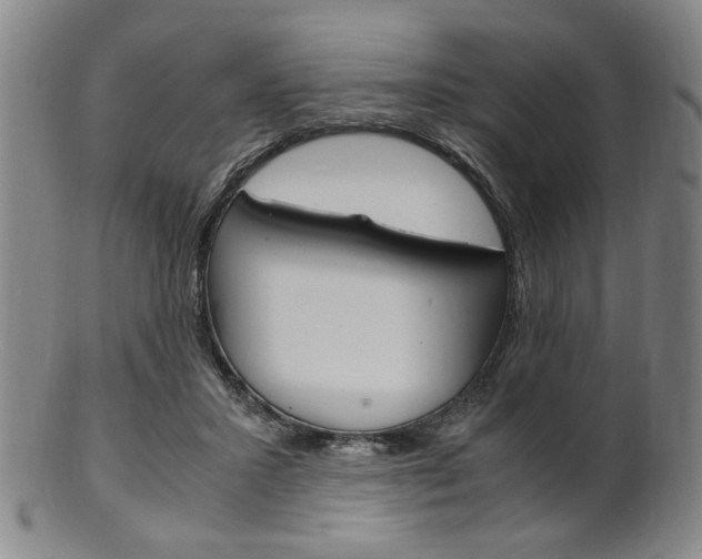 X0000101660407200807101030