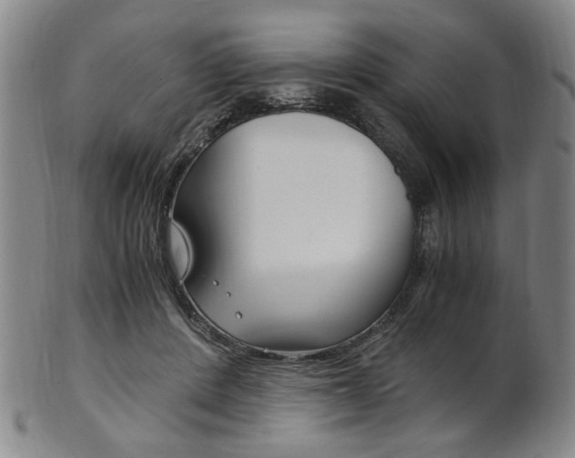 X0000101660408200807101030