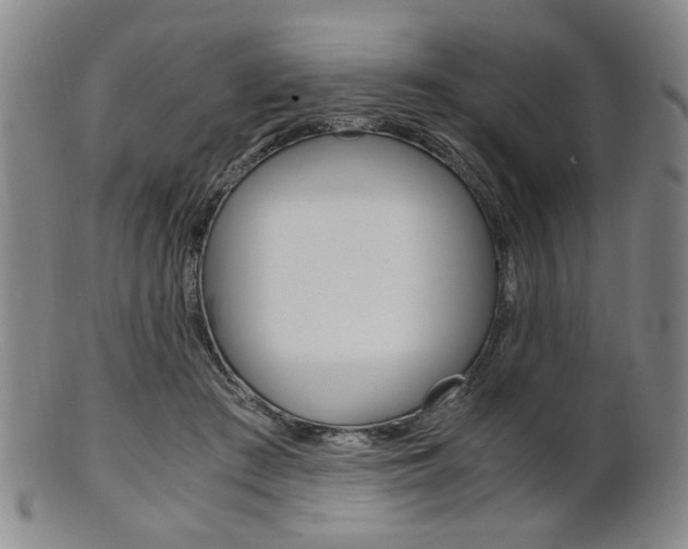 X0000101660409200807101030