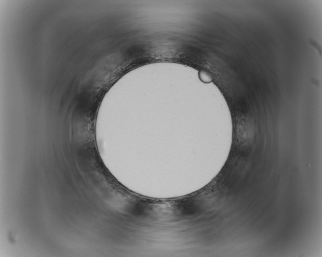 X0000101660411200807101030