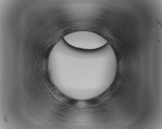 X0000101660413200807101030