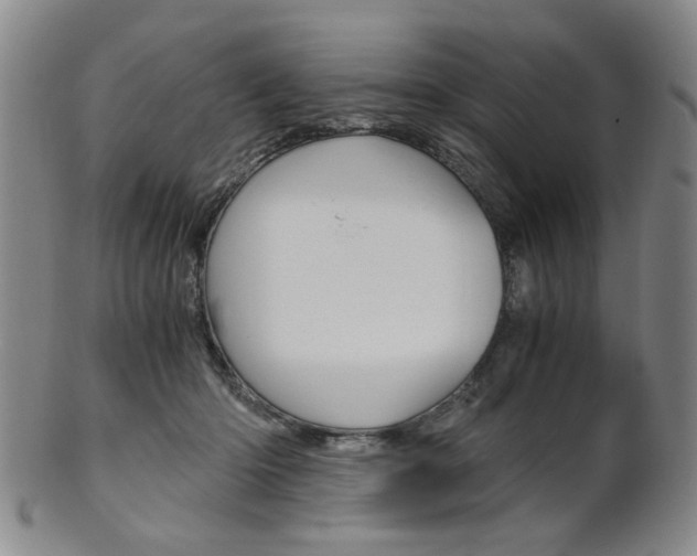 X0000101660414200807101030