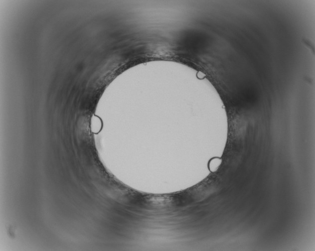 X0000101660415200807101030