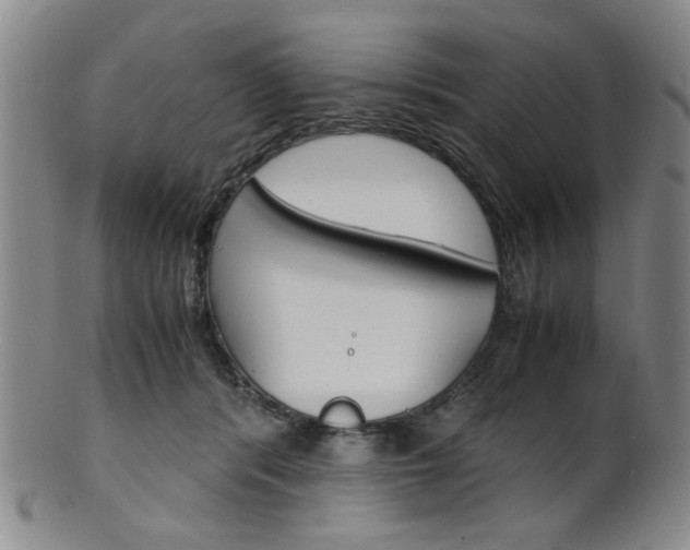 X0000101660416200807101030