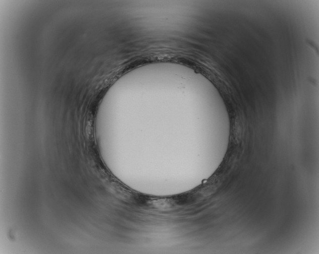 X0000101660417200807101030