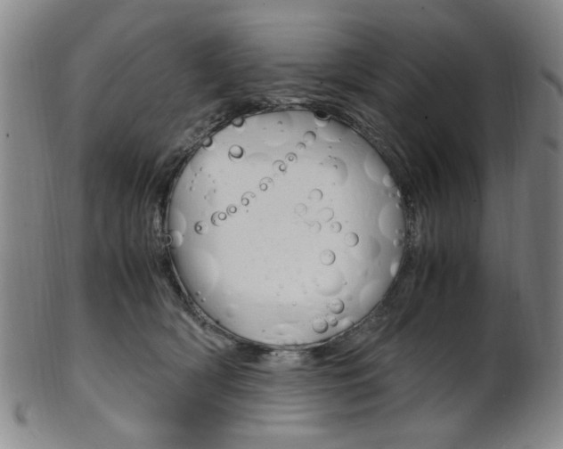 X0000101660418200807101030