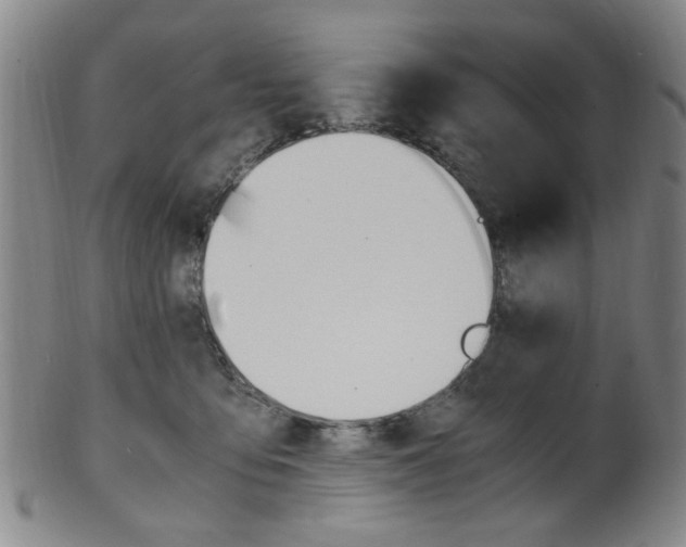 X0000101660419200807101030