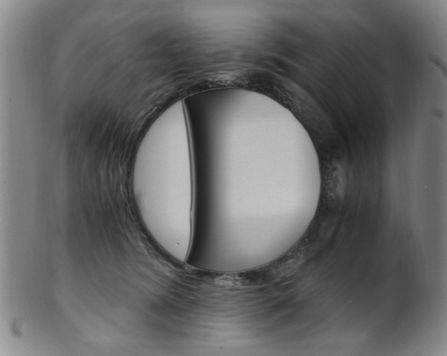 X0000101660420200807101030