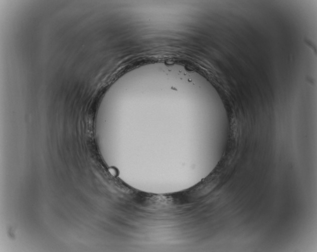 X0000101660421200807101030