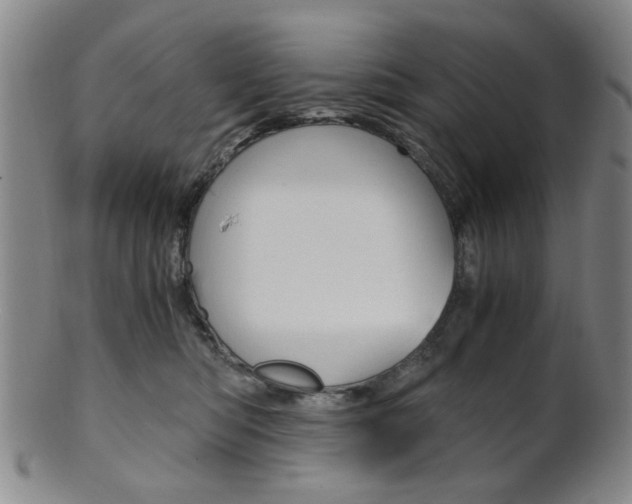 X0000101660422200807101030