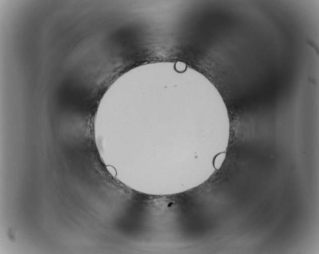 X0000101660423200807101029