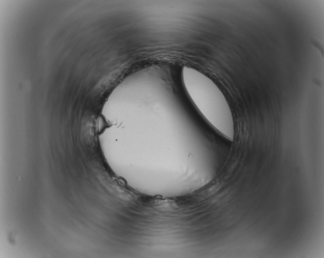 X0000101660424200807101029