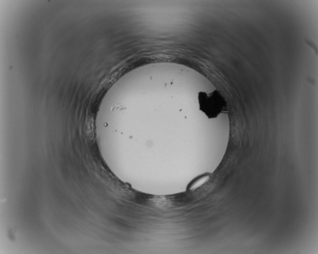 X0000101660425200807101029