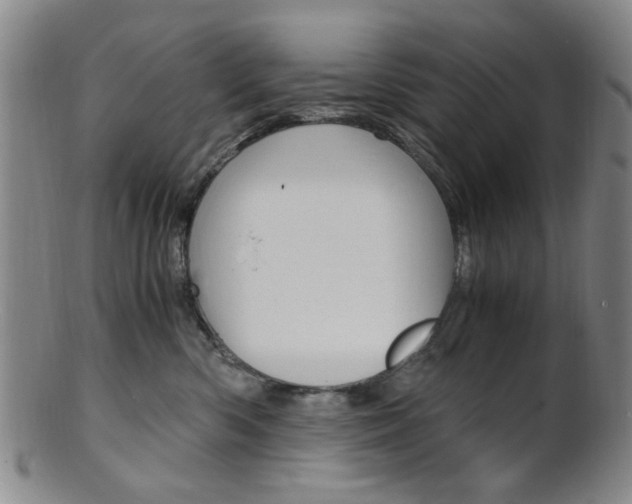 X0000101660426200807101029