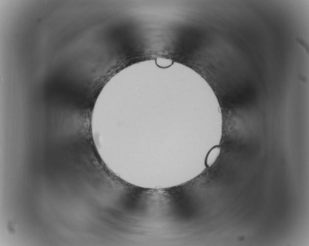X0000101660427200807101029