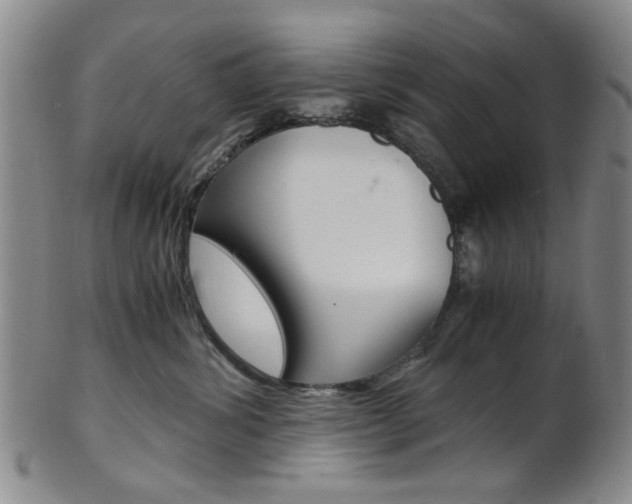 X0000101660428200807101029