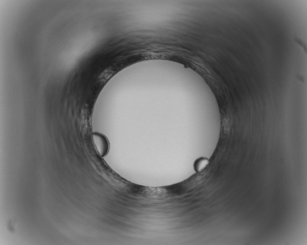X0000101660429200807101029