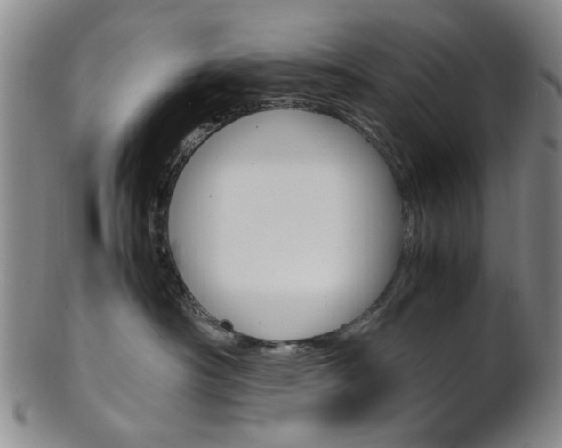 X0000101660430200807101029