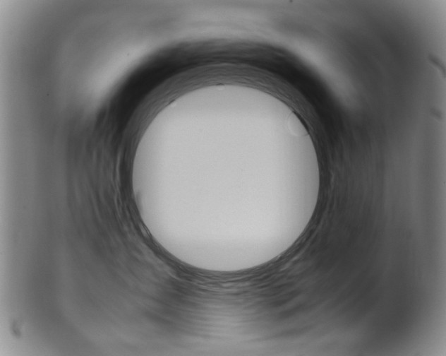 X0000101660431200807101029