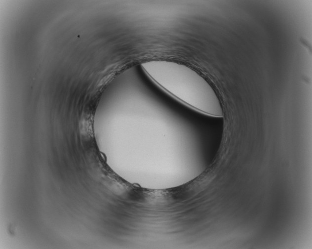 X0000101660432200807101029