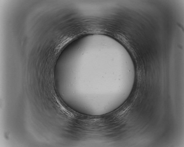 X0000101660433200807101029