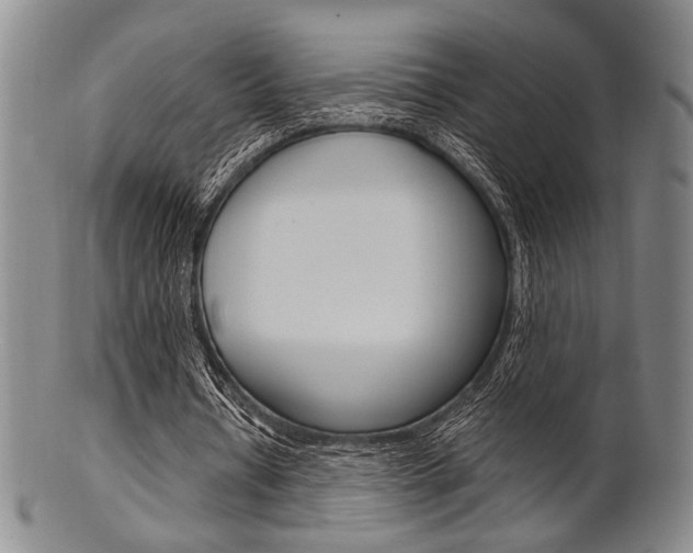 X0000101660434200807101029