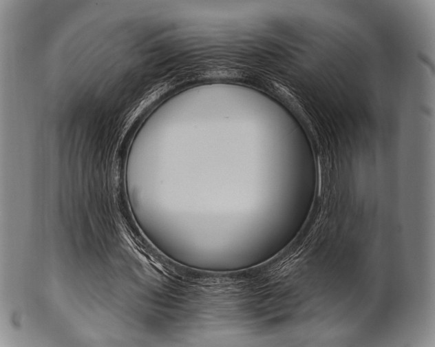 X0000101660435200807101029