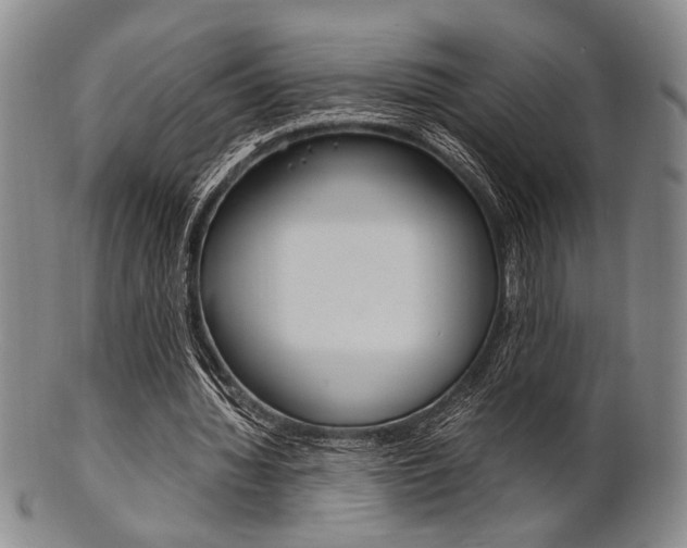 X0000101660436200807101029
