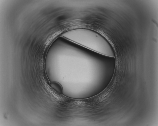 X0000101660437200807101029