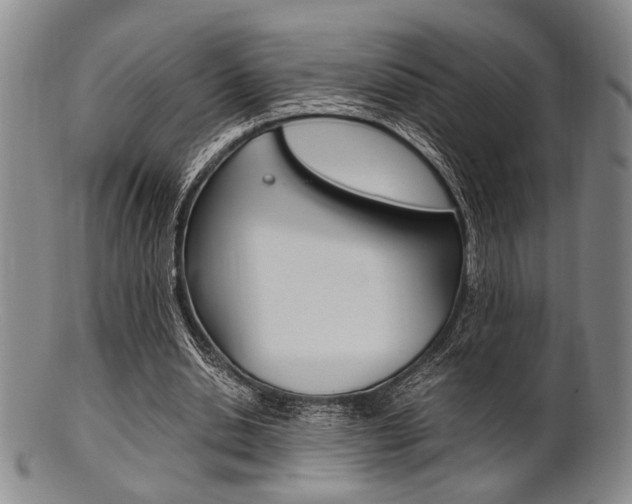 X0000101660438200807101029