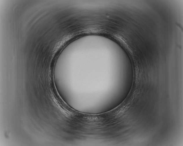 X0000101660439200807101029