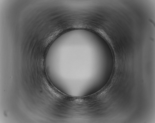 X0000101660441200807101029