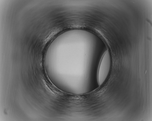 X0000101660443200807101029