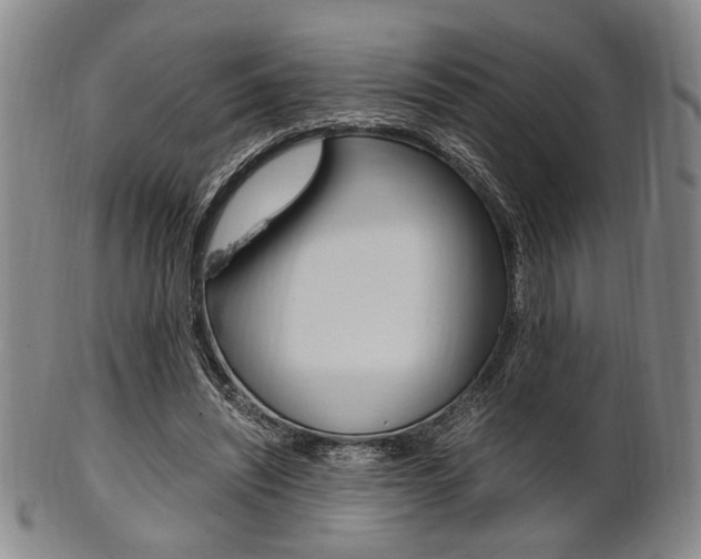 X0000101660444200807101029