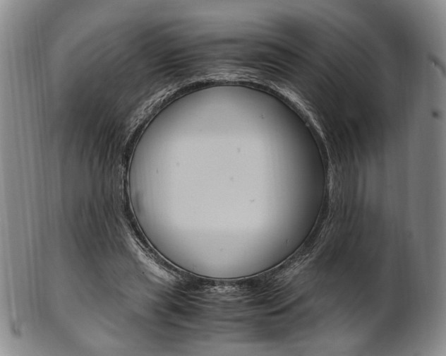 X0000101660445200807101029