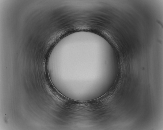 X0000101660447200807101029
