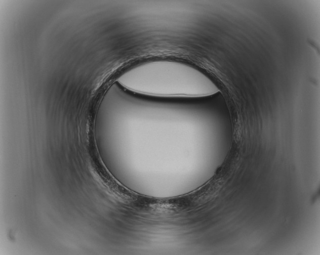 X0000101660448200807101029