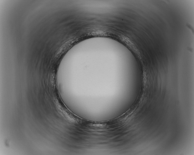 X0000101660449200807101029