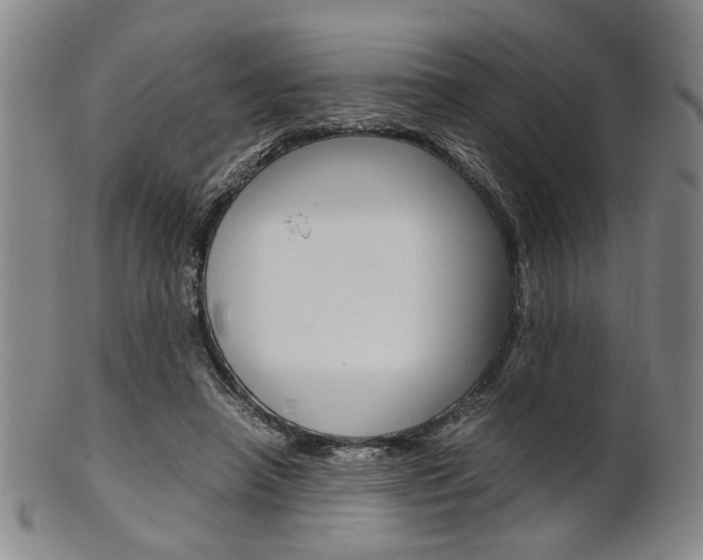 X0000101660450200807101029