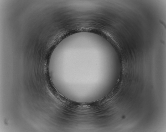 X0000101660451200807101029