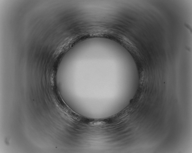 X0000101660452200807101029
