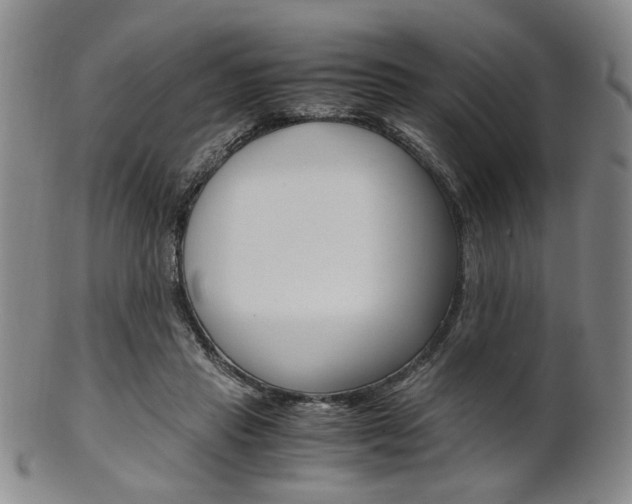 X0000101660453200807101029