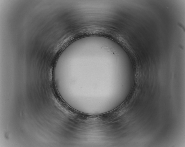 X0000101660454200807101029