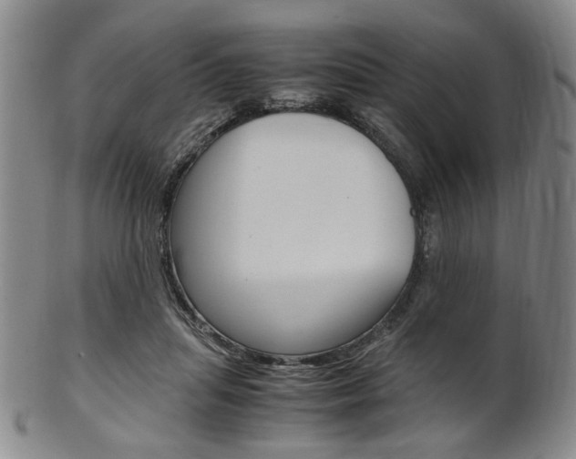X0000101660455200807101029