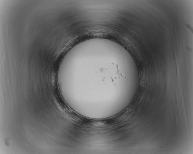 X0000101660456200807101029
