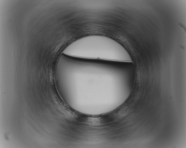 X0000101660457200807101029