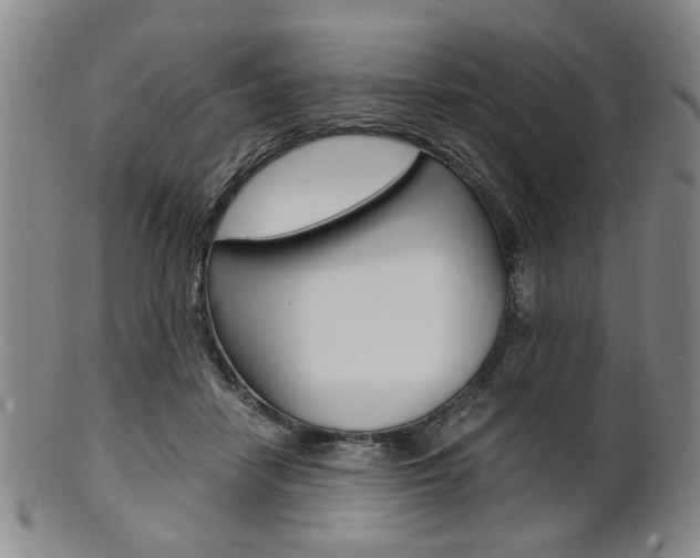 X0000101660458200807101029