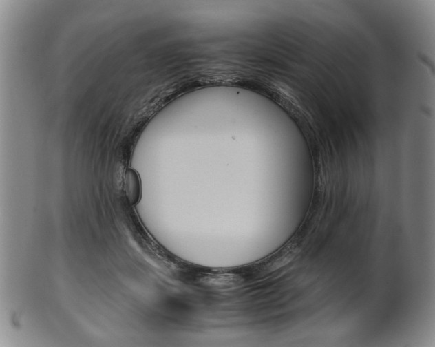 X0000101660459200807101029
