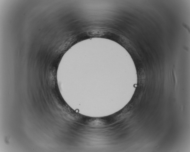 X0000101660460200807101029