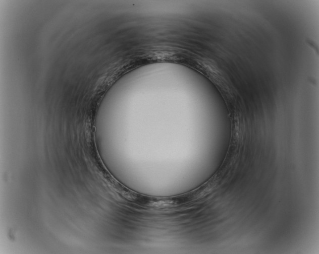 X0000101660461200807101029